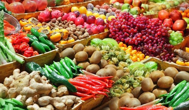 GIDA ÜRÜNLERİ SATIN ALINACAKTIR