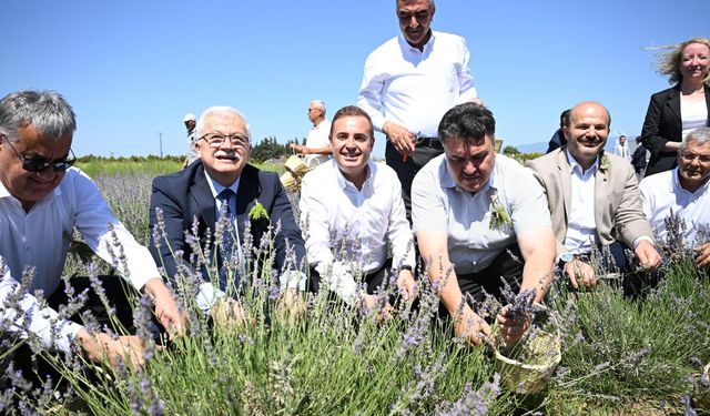 Türkiye’nin En Şifalı Festivali: Balıkesir Aromaterapi Festivali Bu Yıl Uluslararası Boyutta