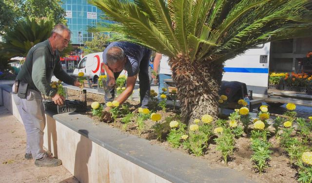 Edremit'te Meydanlar Çiçek Açtı!