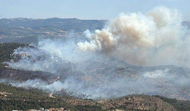 Havran Hallılar’daki Orman Yangını Kontrol Altına Alındı