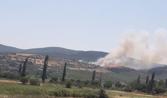 Alevler Gökyüzünü Sardı! Kepsut'taki Orman Yangınına Havadan Müdahale!
