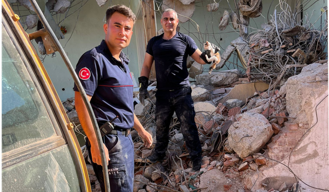 Büyükşehir İtfaiyesi Bunu Hep Yapıyor! Yavru Kedi İçin Seferber Oldular