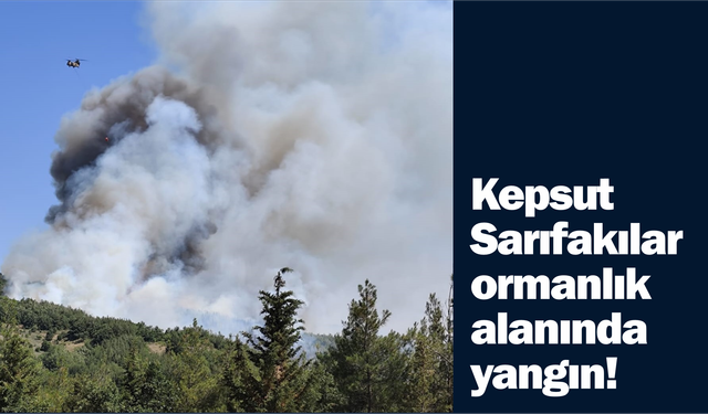 Kepsut’ta Orman Yangını Alarmı: Havadan ve Karadan Müdahale Sürüyor!