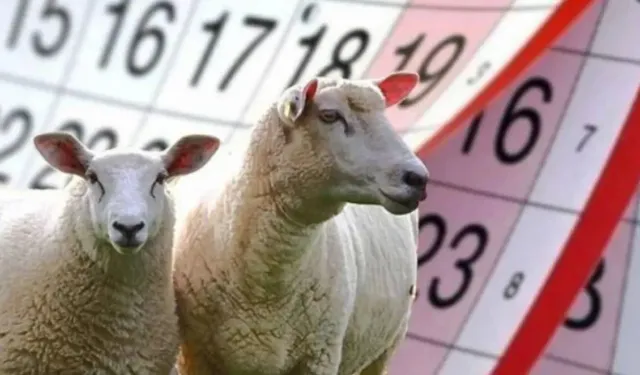 Cumhurbaşkanı Erdoğan Müjdeyi Verdi: Kurban Bayramı Tatili 9 Gün Oldu!
