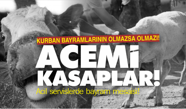 Kurban Bayramı'nda Gelenek Bozulmadı: Yine Acemi Kasap Vakaları!