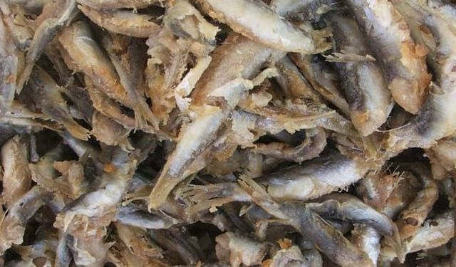 Bir Balık, Bir Kent, Bir İtiraz: Papalina’ya Sahip Çıkın!