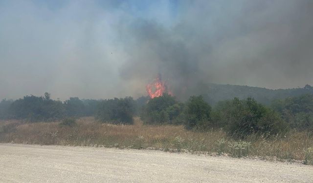 İvrindi’de Korkutan Yangın! Gökçeler Mahallesi Alevlere Teslim Oldu!