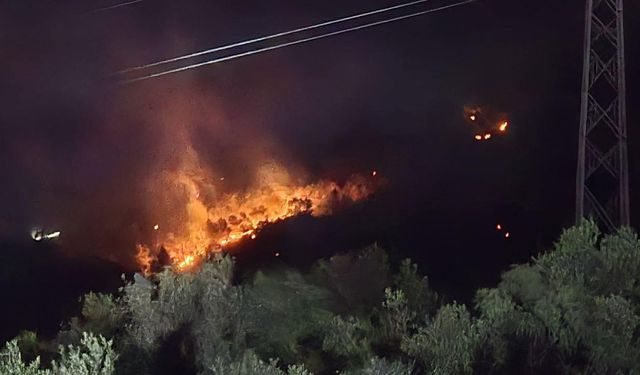 Akçay Sinekboğazı'nda Yangın! Başkan Ertaş'tan Açıklamalar