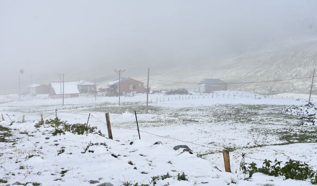 Rize Yaz Gününde Kışı Yaşadı! Beyaza Büründü!