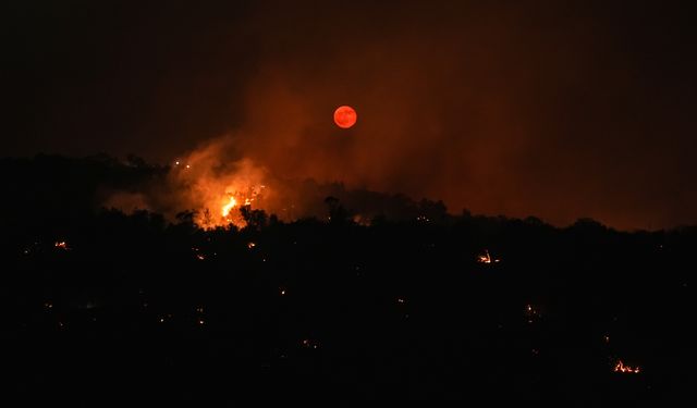 Dursunbey Alev Alev Yanıyor! Balıkesir Dursunbey'deki Orman Yangınına Müdahale Devam Ediyor! Mahalleler Tahliye Edildi!