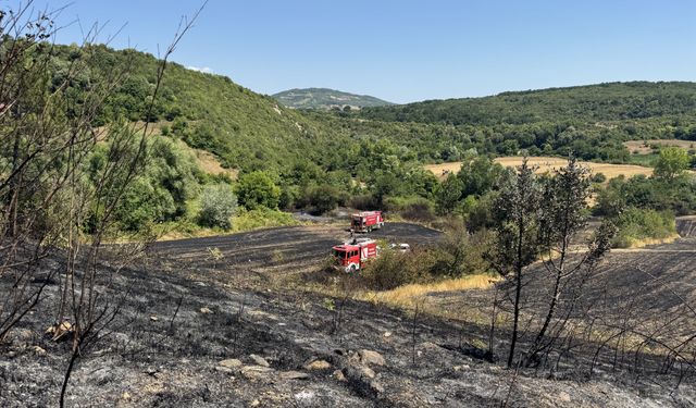Kocaeli'de Yangın Paniği! Tarım Arazisi Küle Döndü!