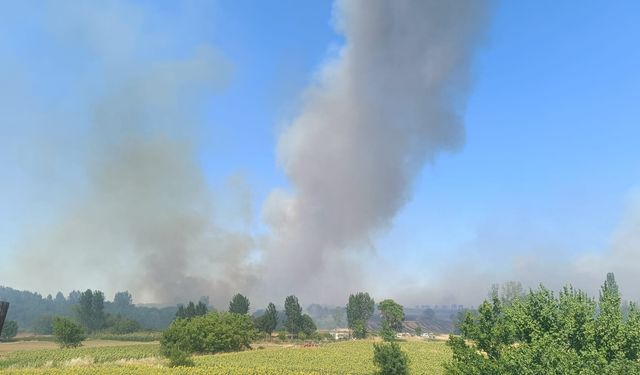 Keşan'da Orman Yangını! Edirne Alev Alev Yanıyor!