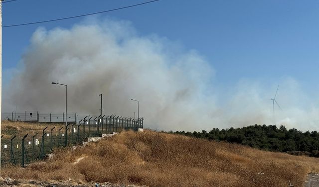 İzmir Alevlere Teslim Oldu! Urla'da Korkutan Orman Yangını!
