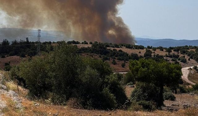 Balıkesir Savaştepe'de Orman Yangını! Şiddetli Rüzgar Yangını Daha Da Alevlendirdi!