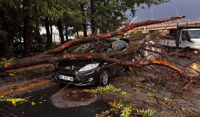 Ankara'da Sağanak Yağış Dehşet Saçtı! Devrilen Ağaç Otomobilin Üstüne Düştü!
