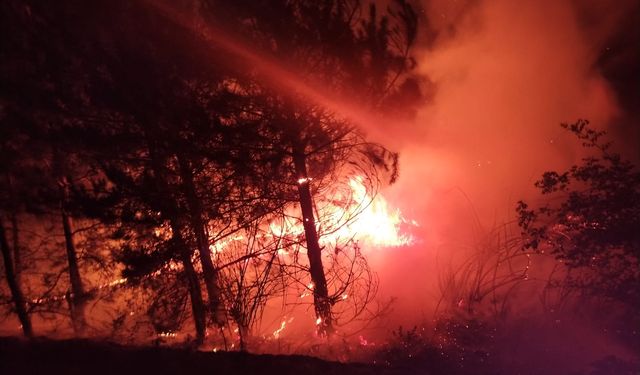 Bolu'da Yangın Paniği! Mudurnu'da Korkutan Yangın!