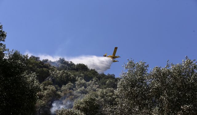 Muğla'da Korkutan Orman Yangını! Ortaca Felaketin Kıyısından Döndü!
