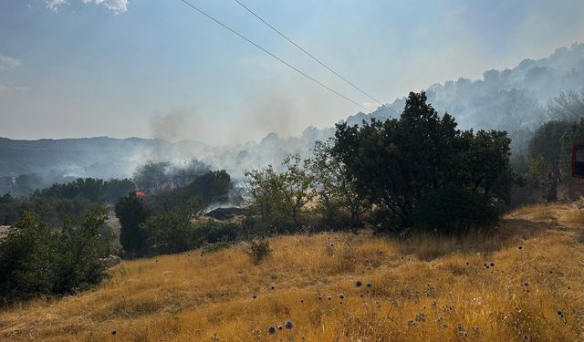 Bir Yangın Haberi de Diyarbakır'dan Geldi! Lice'de Orman Yangını Çıktı!
