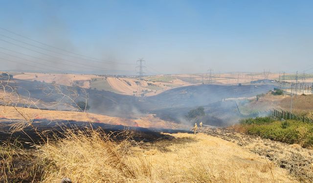 Bir Yangın Haberi de Çanakkale'den Geldi! Gelibolu'da Tarım Arazisi Küle Döndü!