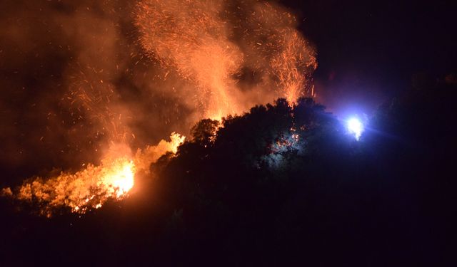 Tarım Arazisinde Başladı Ormana Sıçradı! Manisa Turgutlu Felaketin Eşiğinden Döndü!