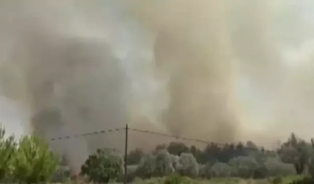 İzmir'de Yangın Alarmı! Bornova Alev Alev Yanıyor! Yangın Bornova'dan Buca'ya Kadar Uzandı!