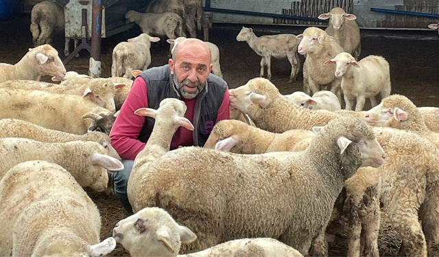 Şap Hastalığı Hakkında Kritik Uyarı: “İnsana Bulaşma Riski Yok”