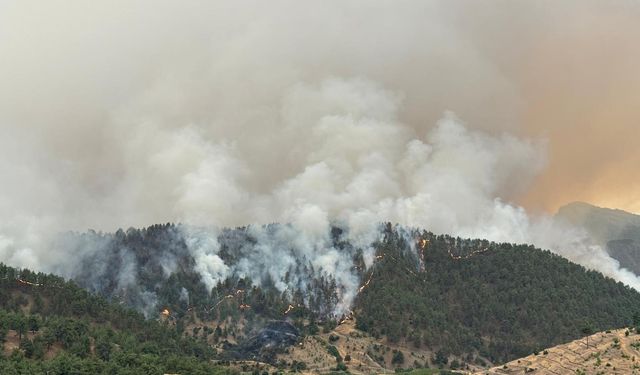 Bir Acı Haber de Kahramanmaraş'tan Geldi! Onikişubat'ta Orman Yangını Çıktı!