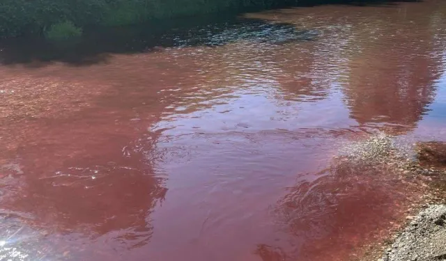 Mudurnu Çayı Kırmızıya Büründü! Sakarya'da Su Kirliliği Endişesi!