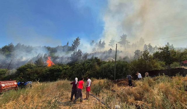 Muğla Menteşe’de Orman Yangını!