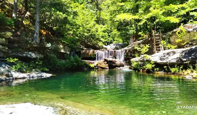 Kaz Dağları: Şifa, Kültür ve Turizmin Buluştuğu Zirve