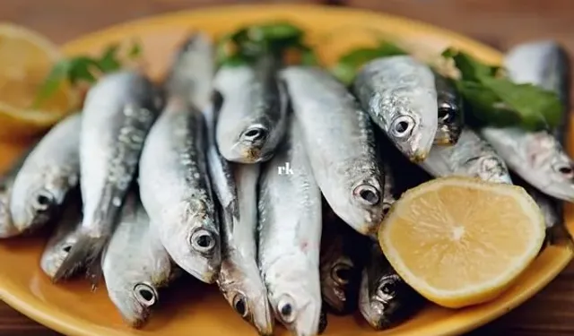 Ne Levrek, Ne Çipura Ne de Somon... Keramet O Balıktaymış! D Vitamini ve Omega-3 Deposu...