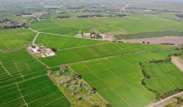 Balıkesir'deki Bu 3 Mahallede Tarlalar Baştan Düzenlenecek! İşte Yeni Tarım Projesi