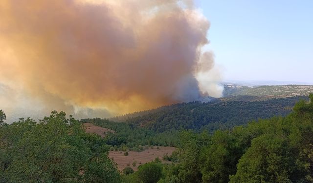 Balıkesir'de Yangın Paniği Sürüyor! Savaştepe'deki Orman Yangınına Müdahale Devam Ediyor!