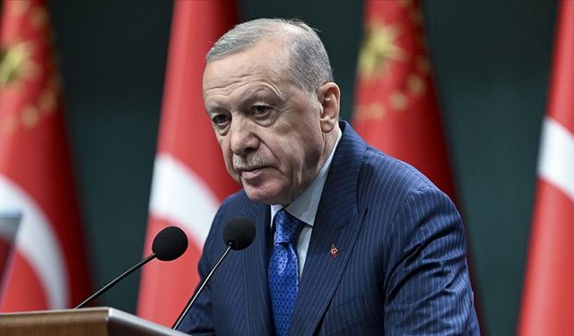 Orman Yangınlarıyla İlgili Flaş Gelişme! Erdoğan Açıkladı: 149 Gözaltı, 38 Tutuklama