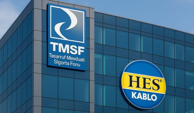 18,6 Milyar TL Bedelle Satışta! TMSF HES Kablo ve Çelik Halat'ı Satışa Çıkardı!