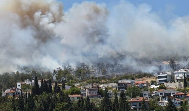 İzmir Alevlere Teslim Oldu! Urla'da Korkutan Orman Yangını!