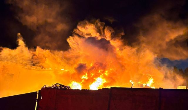 Gömeç’te Yangın Paniği! Dumanlar Gökyüzünü Kapladı! Hurdalık Alev Alev Yandı...