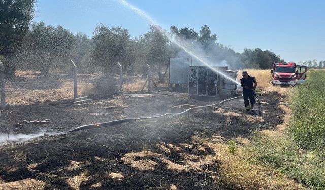 Ayvalık’ta Kabus Gibi Gün! 3 Farklı Noktada Yangın Çıktı
