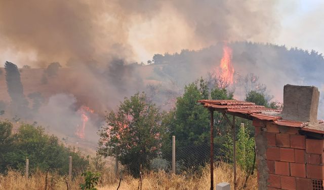 Bursa Gürsu Alev Alev! Balıkesir İtfaiyesi de Sahada