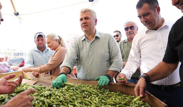 Gömeç’te Bamya Mesaisi: Mustafa Canbey Çiftçiyle Tarlada...