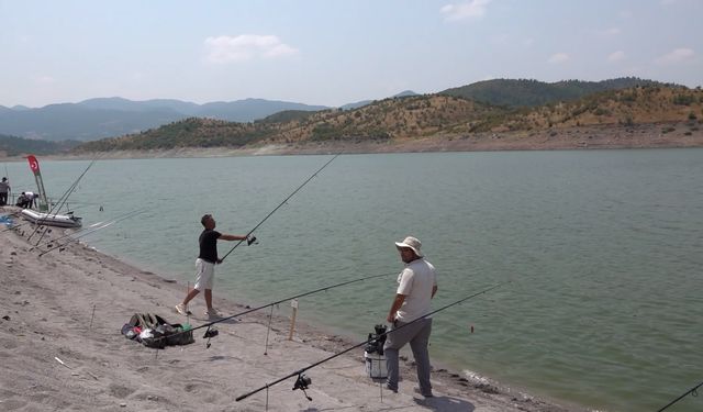 Sındırgı'da Nefes Kesen Balık Tutma Yarışması! Amatör Balıkçılar Sındırgı'da Buluştu!