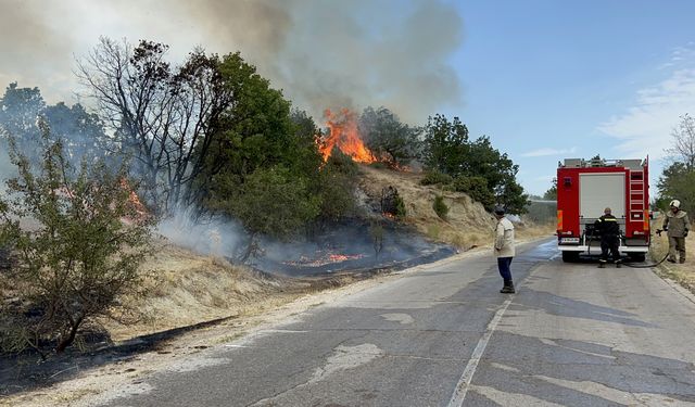 Bulgaristan'da Sakar Dağı'nda Yangın Felaketi! 30 Bin Dönüme Yayılan Yangın Meriç Nehri'ni Aştı!