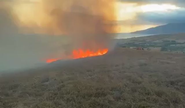 Balıkesir'de Yangın Paniği! Bir Yangın Haberi de Erdek'ten Geldi!