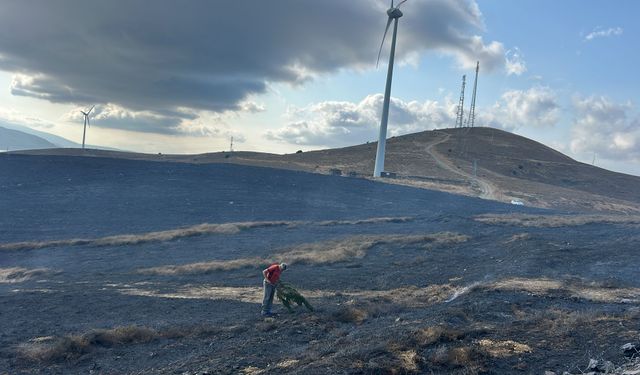 Paşalimanı Adası’nda Sabah Saatlerinde Yangın! 10 Dönüm Arazi Kül Oldu