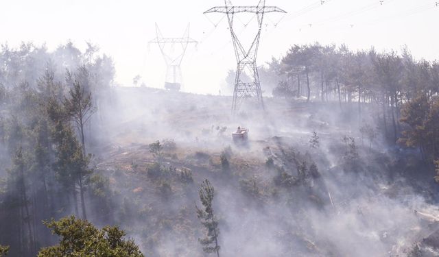 Çanakkale'deki Orman Yangını Kontrol Altına Alındı, Soğutma Çalışmaları Devam Ediyor!