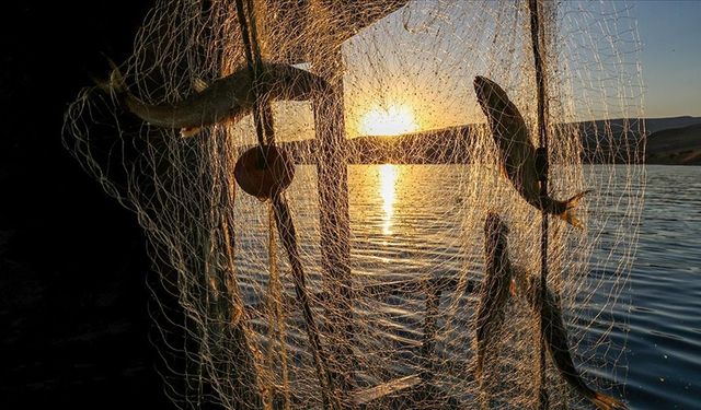 2025 Balık Av Yasağı Ne Zaman Bitiyor? Sezon Açılıyor! Deniz ve Tatlı Su Avcılığıyla İlgili Tüm Detaylar: