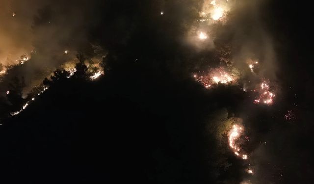 Hatay Hassa’da Orman Yangını: Alevlerle Karadan Yoğun Mücadele Sürüyor!