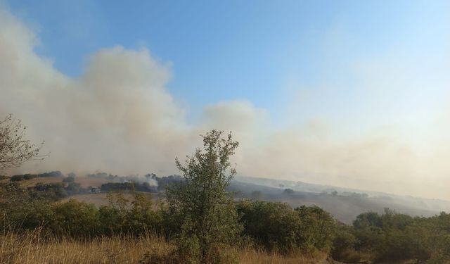 Bigadiç Güvemçetmi'de Orman Yangını Paniği! Alevlere Müdahale Sürüyor