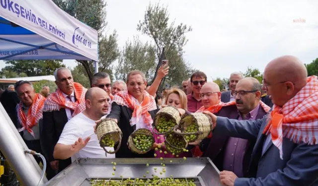 Zeytin Hasat Festivali’nde Kadın Üreticiler İçin Büyük Fırsat! Başvurular Başladı!