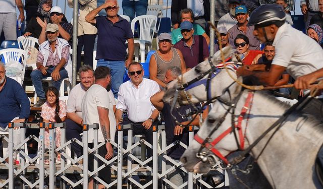 Ayvalık’ta İlk Kez Rahvan At Yarışları Düzenlendi: 156 Atla Türkiye Rekoru Kırıldı